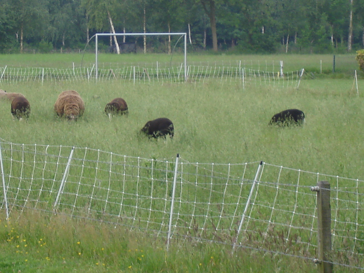 HWK 2009 134.jpg